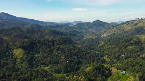 Montagnes Couvertes Forêt Végétation Tropicale Sur Fond Ciel Bleu Nuages — Video