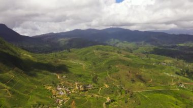 Tea plantations and agricultural land in a mountainous province. Tea estate landscape. Maskeliya, Sri Lanka.