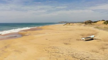 Palmiyeli kumsal ve dalgalı okyanus sörfü. Sri Lanka. Yaz ve seyahat tatil konsepti.