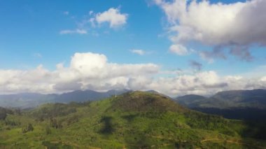 Dağın tepesindeki çay çiftliğinin havadan görünüşü. Çay evi manzarası. Maskeliya, Sri Lanka.