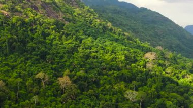 Yukarıdan ormanla kaplı dağ tepelerinin havadan görünüşü. Dağlar, yağmur ormanları, ağaçlar. Sri Lanka.
