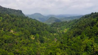 Sri Lanka 'daki orman ve dağların insansız hava aracı. Tropikal bitki örtüsü olan dağ yamaçları.