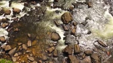 Yağmur ormanlarındaki taşların arasında fırtınalı dağ nehri. Sri Lanka.