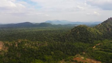 Tropikal ormanlı Sri Lanka manzarası.