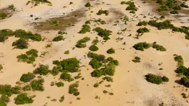 Aerial Drone Sand Hills Dunes Shrubs Ocean Manalkaadu Sand Hills — Stock videók
