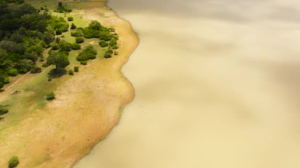 スリランカ国立公園内の湖の海岸の空中ドローン — ストック動画