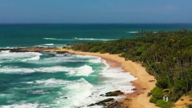 Aerial view of sandy beach with palm trees and ocean surf with waves. Sri Lanka.