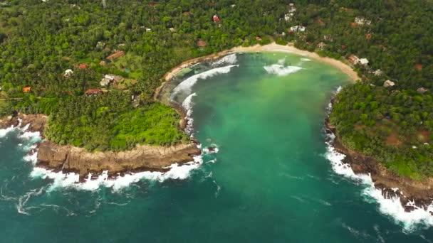 Légi Drón Öbölben Egy Hely Szörfözéshez Hiriketiya Strand Srí Lanka — Stock videók