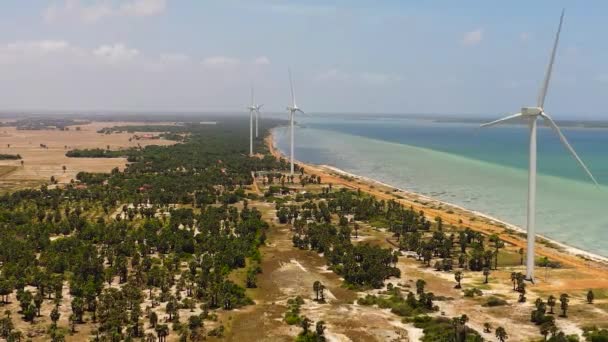 Top Visning Vindmøller Vindmøller Vindmøller Vindkraftværk Jaffna Sri Lanka – Stock-video