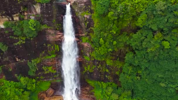 Bela Cachoeira Nas Montanhas Entre Plantações Chá Gartmore Cai Maskeliya — Vídeo de Stock