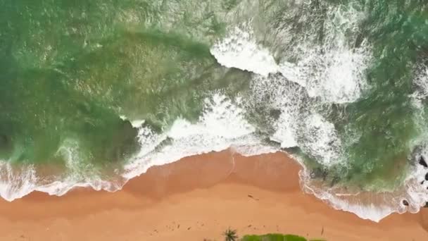 Drone Aereo Bella Spiaggia Paesaggio Marino Con Acqua Turchese Hikkaduwa — Video Stock