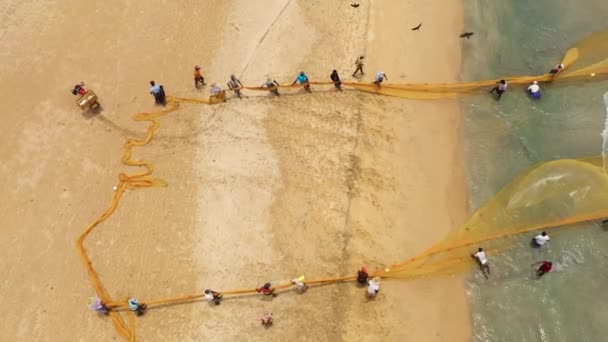 スリランカ 2021年8月25日 ビーチの漁師は魚を中に入れて網を引く トリンコマリー — ストック動画