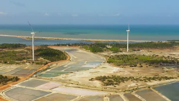 Deniz Kıyısındaki Rüzgar Türbini Güç Jeneratörleri Alternatif Yenilenebilir Enerji Kalpitiya — Stok video