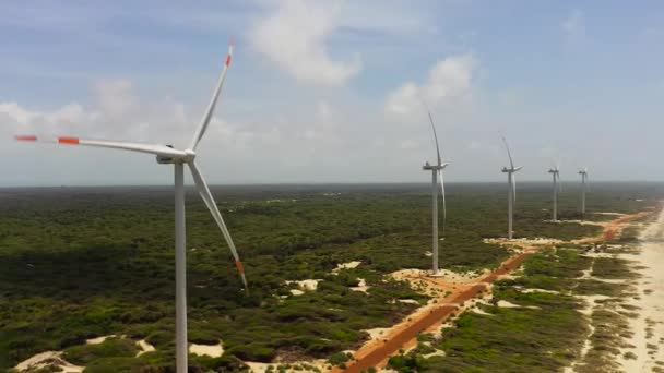 Ветрогенераторы Ветряные Мельницы Ветряная Электростанция Маннар Шри Ланка — стоковое видео