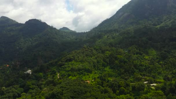 Vue Dessus Des Montagnes Couvertes Forêt Tropicale Arbres Ciel Bleu — Video