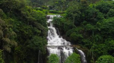 Tropikal bir ormanda şelale. Vernon Dağı, Sri Lanka.