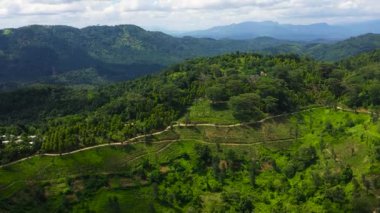 Yağmur ormanları ve tarım arazisi olan dağ yamaçları. Sri Lanka.