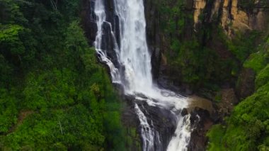 Ormandaki şelale. Sri Lanka. St. Clair Şelaleleri yağmur ormanlarında.