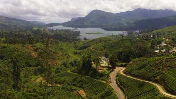 Aerial View Lake Mountainous Area Tea Plantations Maskeliya Castlereigh Sri — Stockvideo