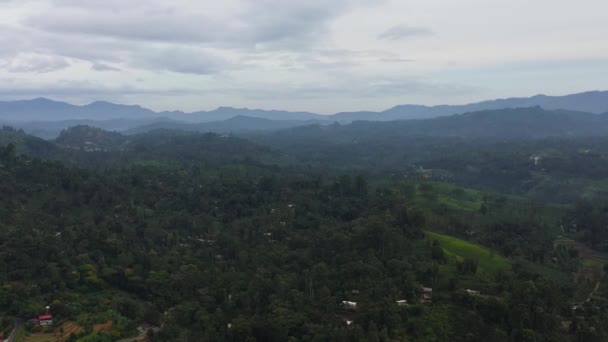 Aerial Drone Mountain Slopes Rainforest Mountain Valley Farmland Sri Lanka — Wideo stockowe