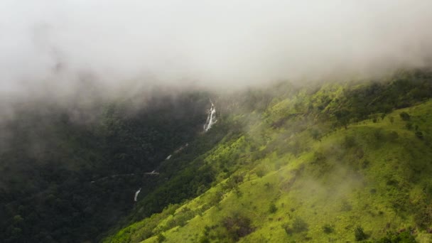 Горы Джунглями Водопадом Шри Ланка — стоковое видео