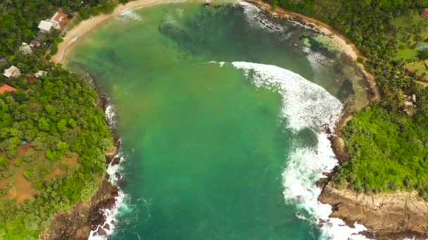 Vedere Top Golfului Plajă Hiriketiya Printre Palmieri Locul Surf Sri — Videoclip de stoc