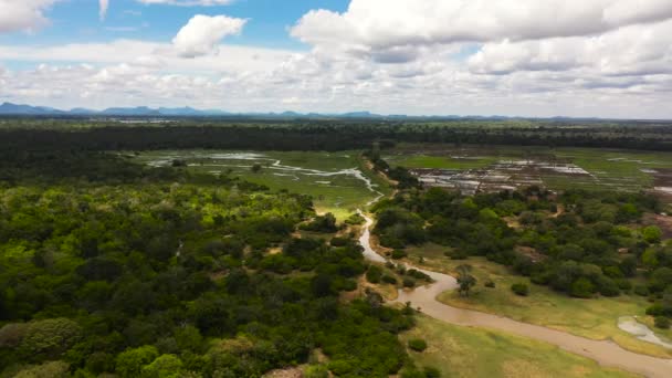 Vista Aérea Zona Rural Con Campos Agrícolas Medio Selva Sri — Vídeo de stock