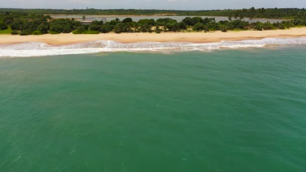 Vacker Sandstrand Med Palmer Och Havssurfing Med Vågor Lankavatara Sri — Stockvideo