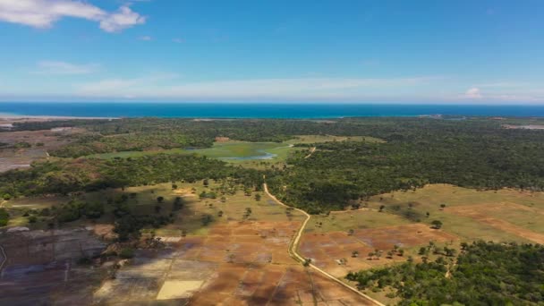 Landbouwgrond Jungle Tegen Blauwe Lucht Wolken Sri Lanka — Stockvideo