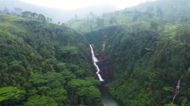 Tropikal yeşillikler ve çay tarlaları arasında şelalenin hava dronu. Moray Şelalesi. Maskeliya, Sri Lanka.