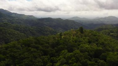 Sri Lanka 'da orman ve dağlar. Tropikal bitki örtüsü olan dağ yamaçları.