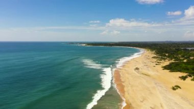 Palmiyeli kumsal ve dalgalı okyanus sörfü. Sri Lanka. Yaz ve seyahat tatil konsepti.