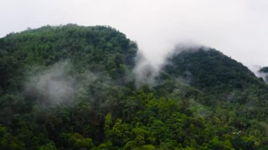 Yağmur ormanları ve ormanlar sis ve bulutlarla kaplı dağ yamaçlarının havadan görünüşü.