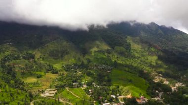 Yeşil ormanlı tarım arazisi ve dağlar. Lanka.