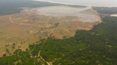 Pirinç tarlaları ve okyanus yakınlarındaki tarım arazileri. Sri Lanka... Sri Lanka.