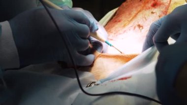 Electrocoagulator cerrahlarla veteriner cerrahi için köpek hayvan hastalıklarıyla ilgili klinik ameliyat odasında olun. Veterinerler klinikte ameliyatı. Tıp, evde beslenen hayvan, hayvanlar, sağlık ve insan kavramı.