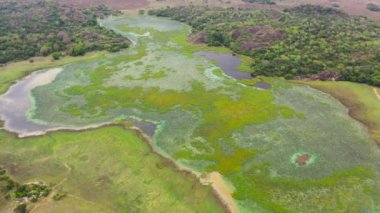 Lakes and swamps in the national park of Sri Lanka.