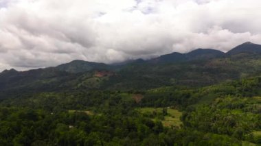 Mountains covered rainforest, trees and blue sky with clouds. Sri Lanka.