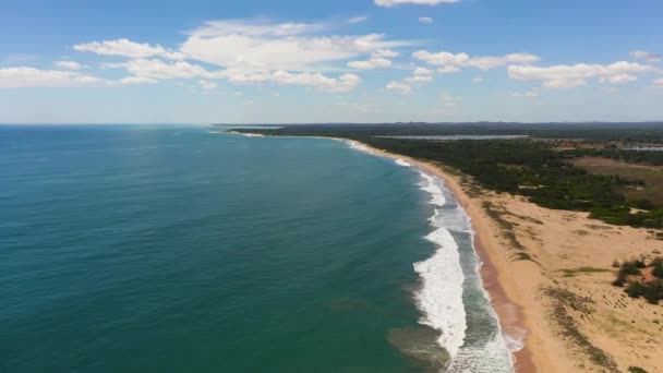 Plajă Tropicală Ocean Albastru Sri Lanka — Videoclip de stoc