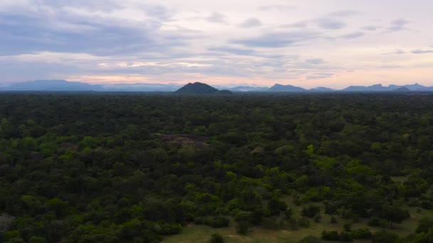 Sri Lanka Daki Tropikal Ormanda Gün Batımı — Stok video