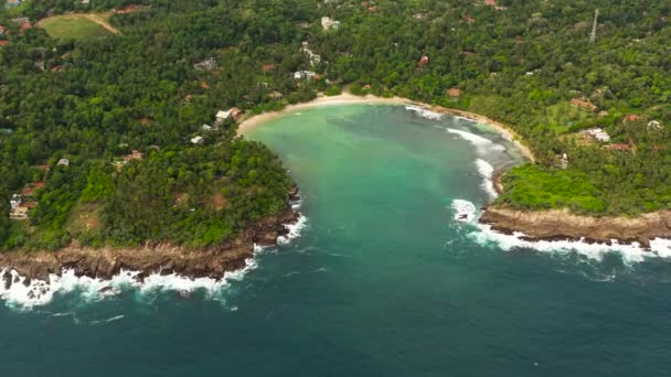 Hiriketiya Sahili Palmiye Ağaçlarının Arasındaki Okyanus Manzarası Sri Lanka — Stok video