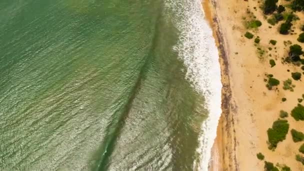 Top View Tropical Sandy Beach Blue Ocean Sri Lanka — Stock Video