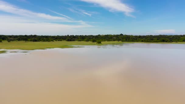 斯里兰卡热带植被和丛林中湖泊的俯瞰 — 图库视频影像
