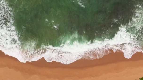 Veduta Aerea Spiaggia Sabbiosa Mare Surf Con Onde Hikkaduwa Sri — Video Stock