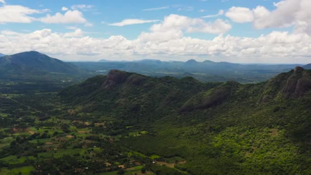 Montagne Con Foreste Verdi Terreni Agricoli Con Piantagioni Agricole Sri — Video Stock
