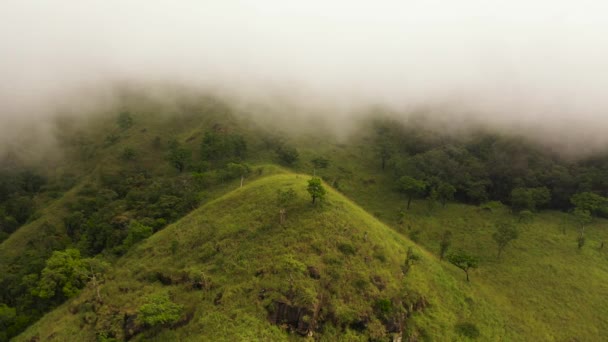 Hutan Hujan Hijau Dan Hutan Pegunungan Sri Lanka Pemandangan Dari — Stok Video