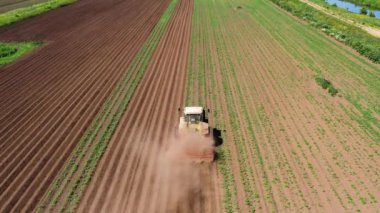 Patates tarlasında disk tepecikli traktör Hilling Patatesleri. Toprağın işlenmesi ve işlenmesinde tarım çalışmaları