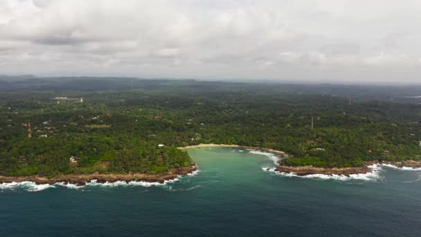 湾内のビーチの空中ビュー サーフィンのための場所 スリランカのヒリケティヤビーチ — ストック動画