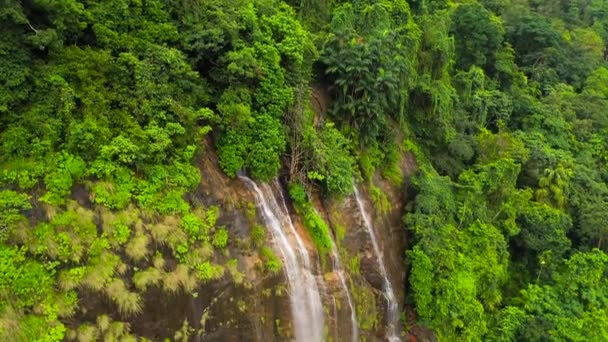 緑の森の中の美しい滝のトップビュー スリランカ — ストック動画