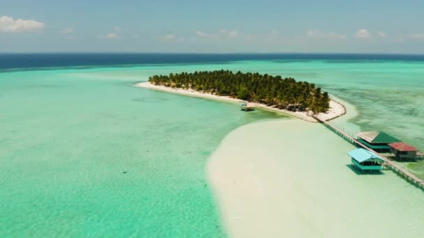 Güzel Plajı Palmiye Ağaçları Yukarıdan Turkuaz Manzaralı Tropik Bir Ada — Stok video